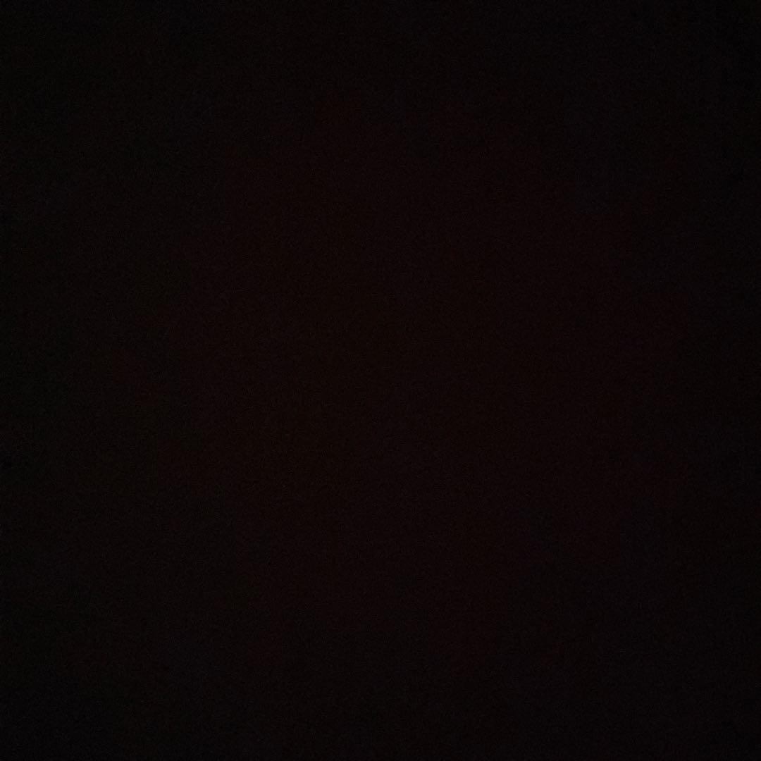 せいのすけさま専用