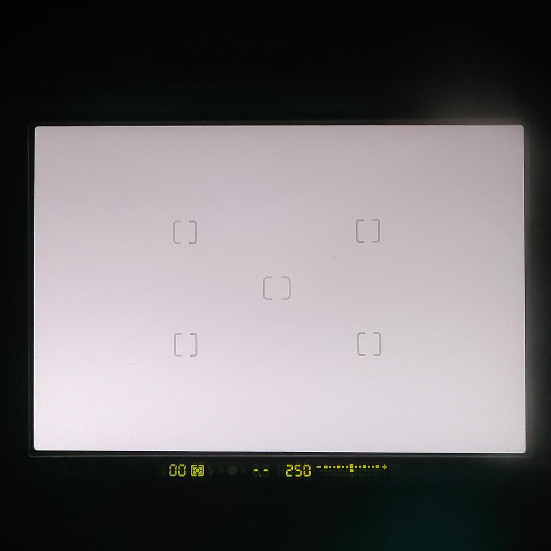 フィルムカメラ CONTAX N1