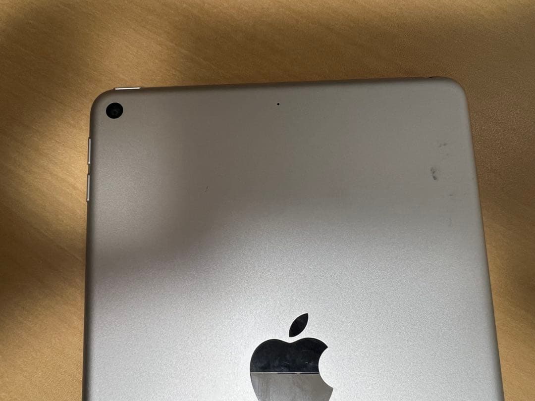 Apple iPad mini 第5世代 256G +Apple Pencil