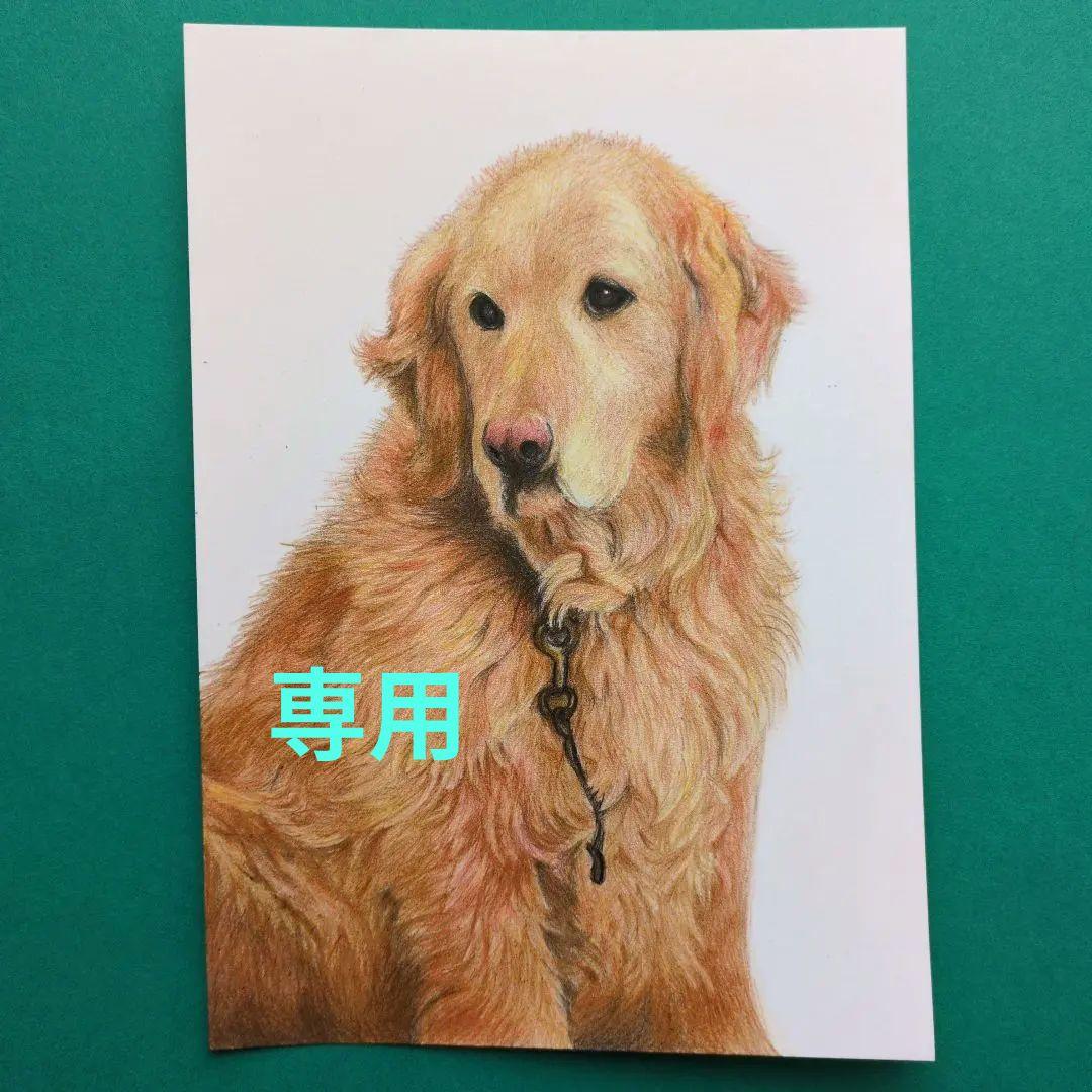 ウニ郎です♪　色鉛筆画 A5 犬・猫♡４枚