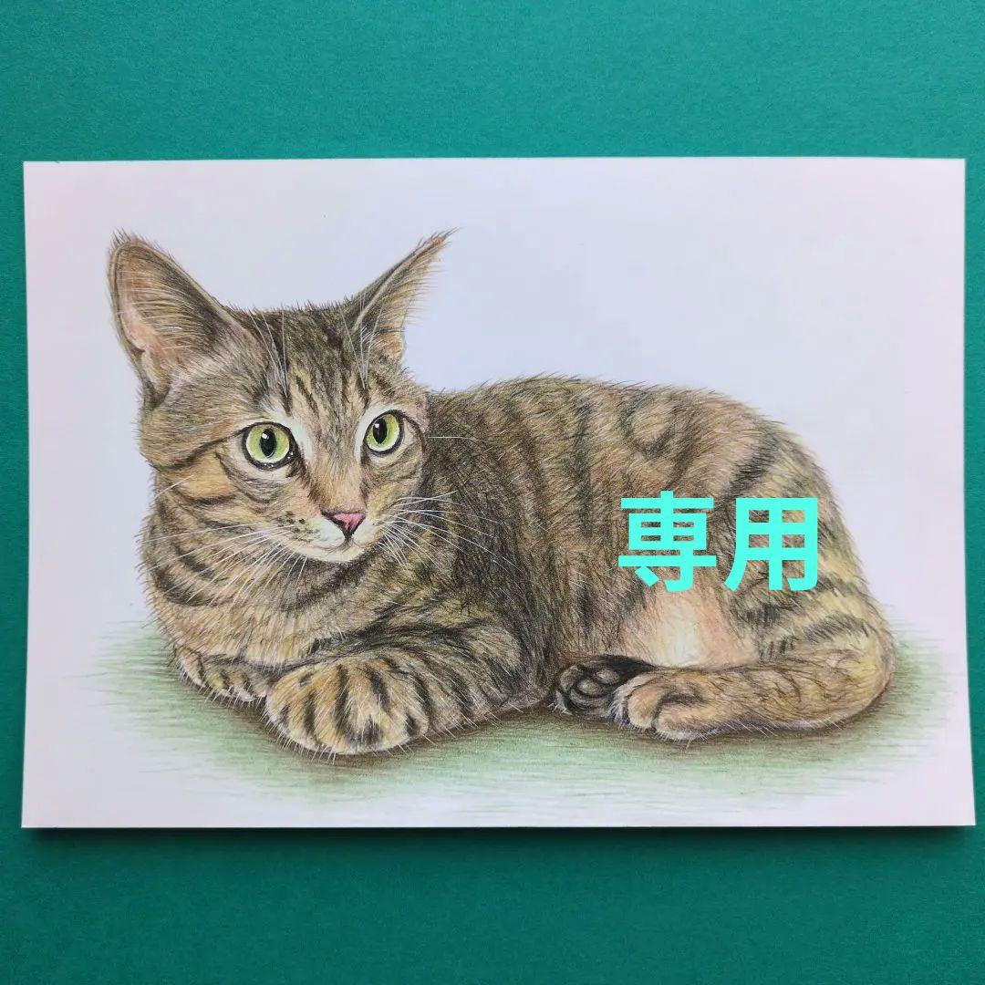 ウニ郎です♪　色鉛筆画 A5 犬・猫♡４枚