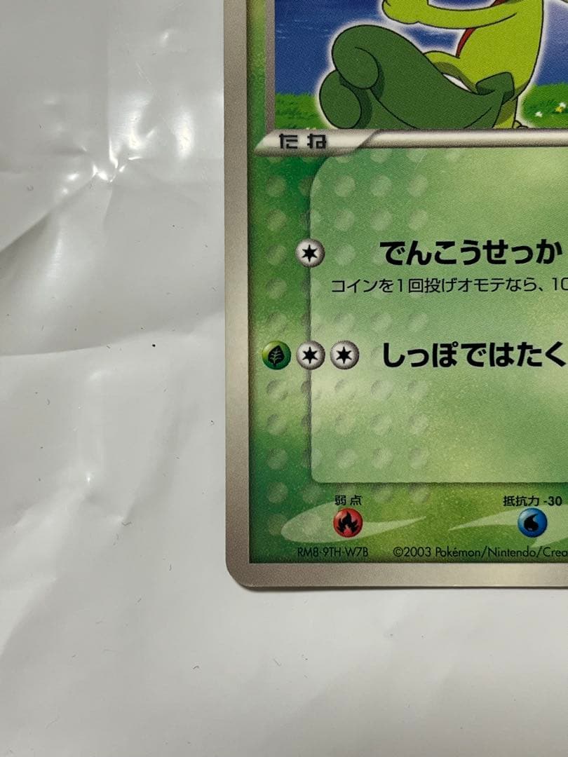 ポケモンカード サトシのキモリ プロモ