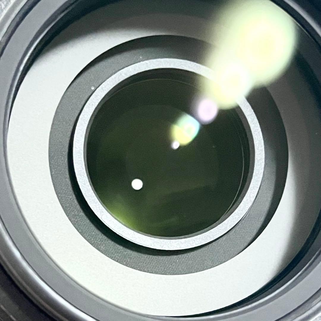 レンズ(ズーム) Nikon AF-S NIKKOR 55-300mm F4.5-5.6G ED