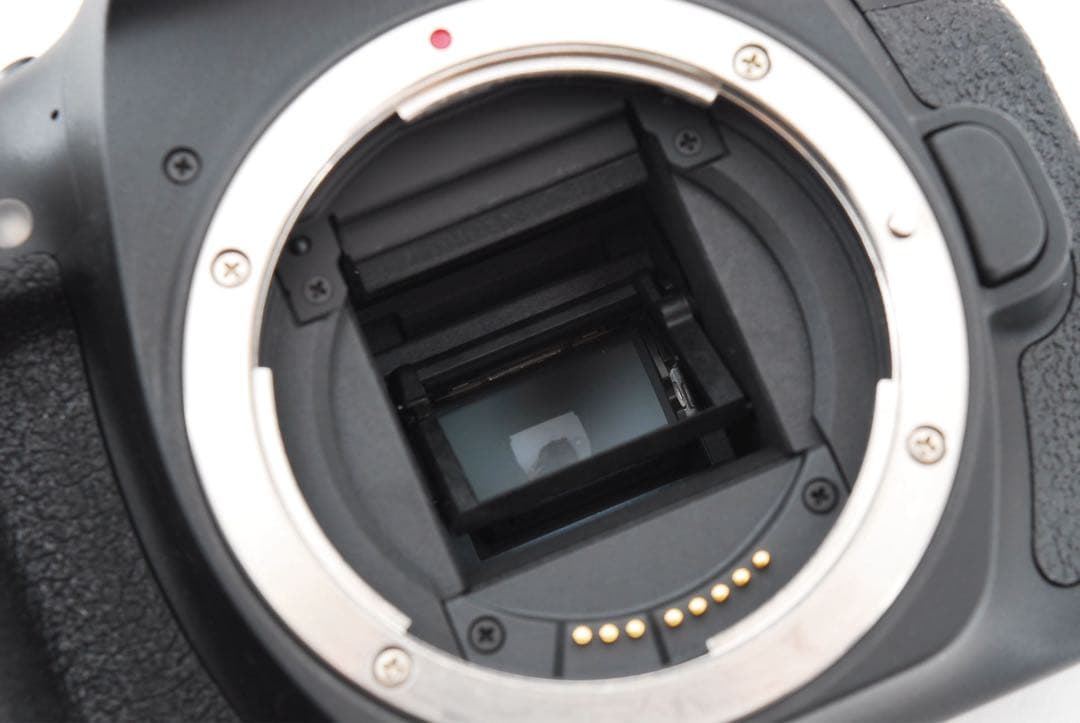 Canon EOS 90D 標準&望遠&単焦点トリプルレンズセット