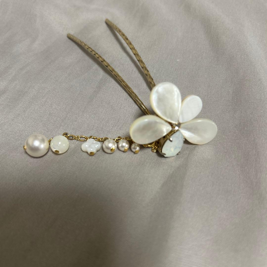 コンプレックスビズ　2種類セット