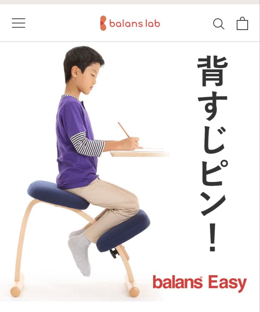 ★美品★ バランスチェア　イージー　ネイビー