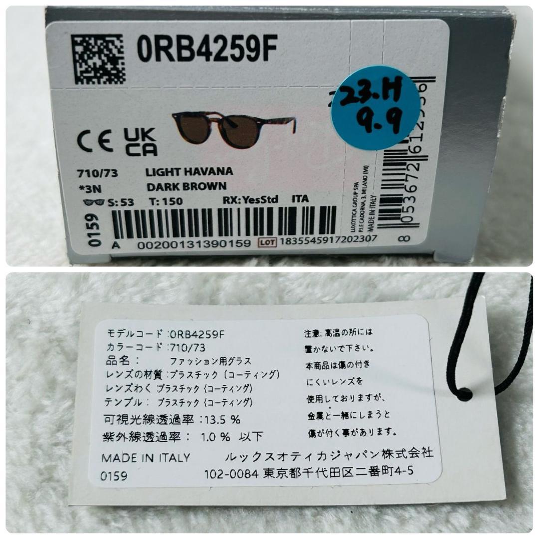 RayBan レイバン サングラス パントスシェイプ ダークブラウン