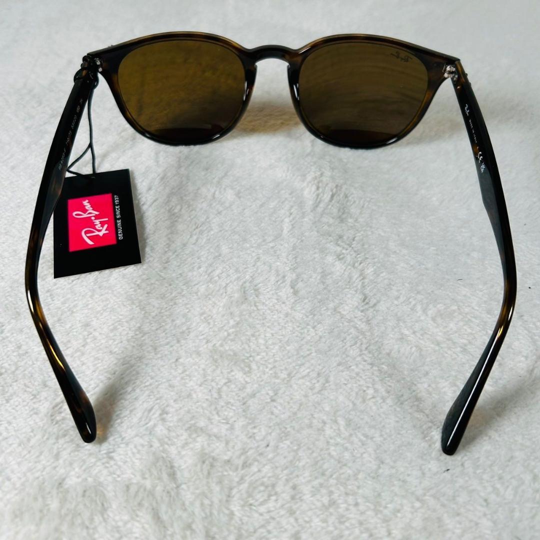 RayBan レイバン サングラス パントスシェイプ ダークブラウン