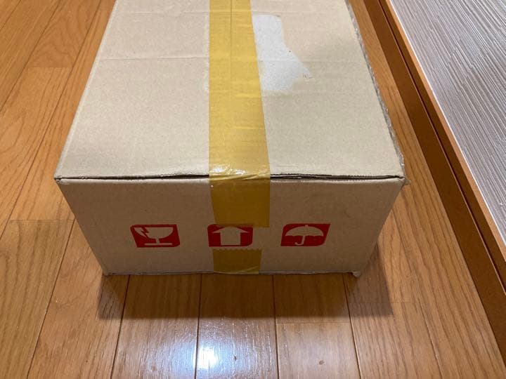 レアリティコレクション2020 カートン