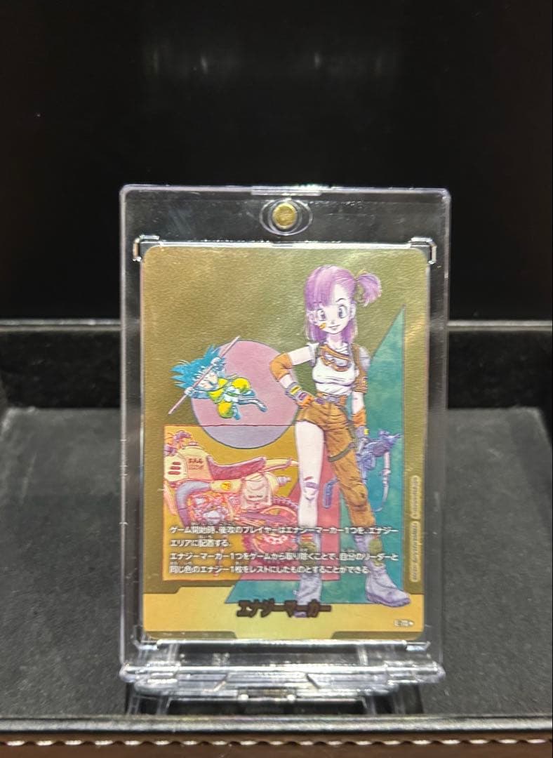 エナジーマーカー ブルマ 10巻表紙