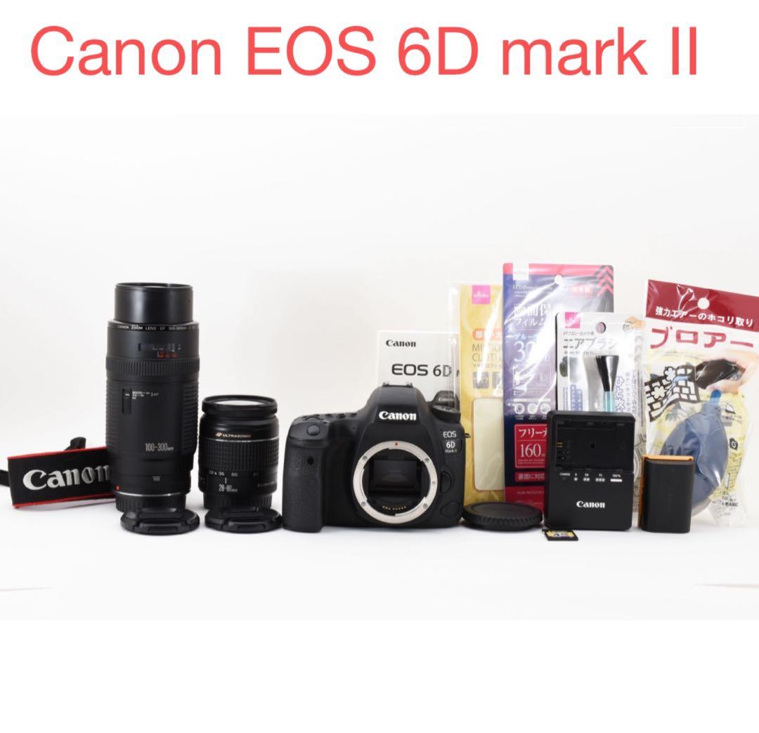 保証付き/Canon EOS 6D mark II標準&望遠ダブルレンズセット