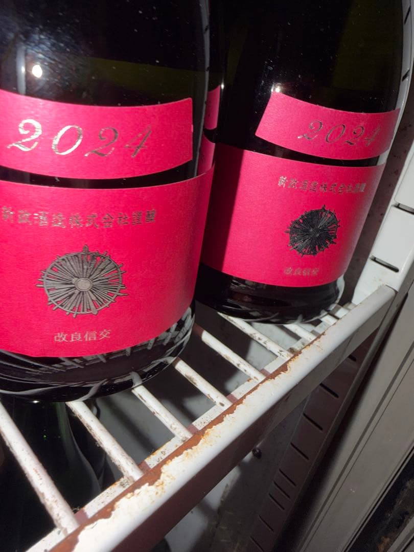 2024年 新政　コスモス　2本