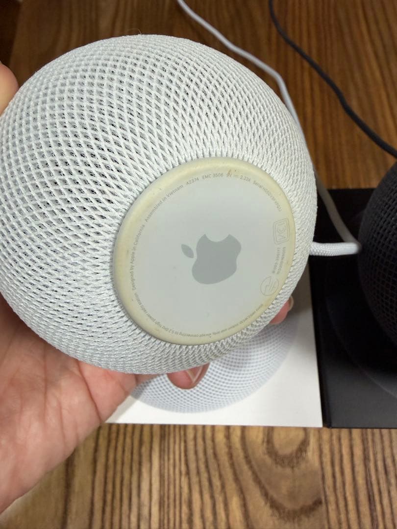 Apple Pod mini ホワイト・スペースグレー