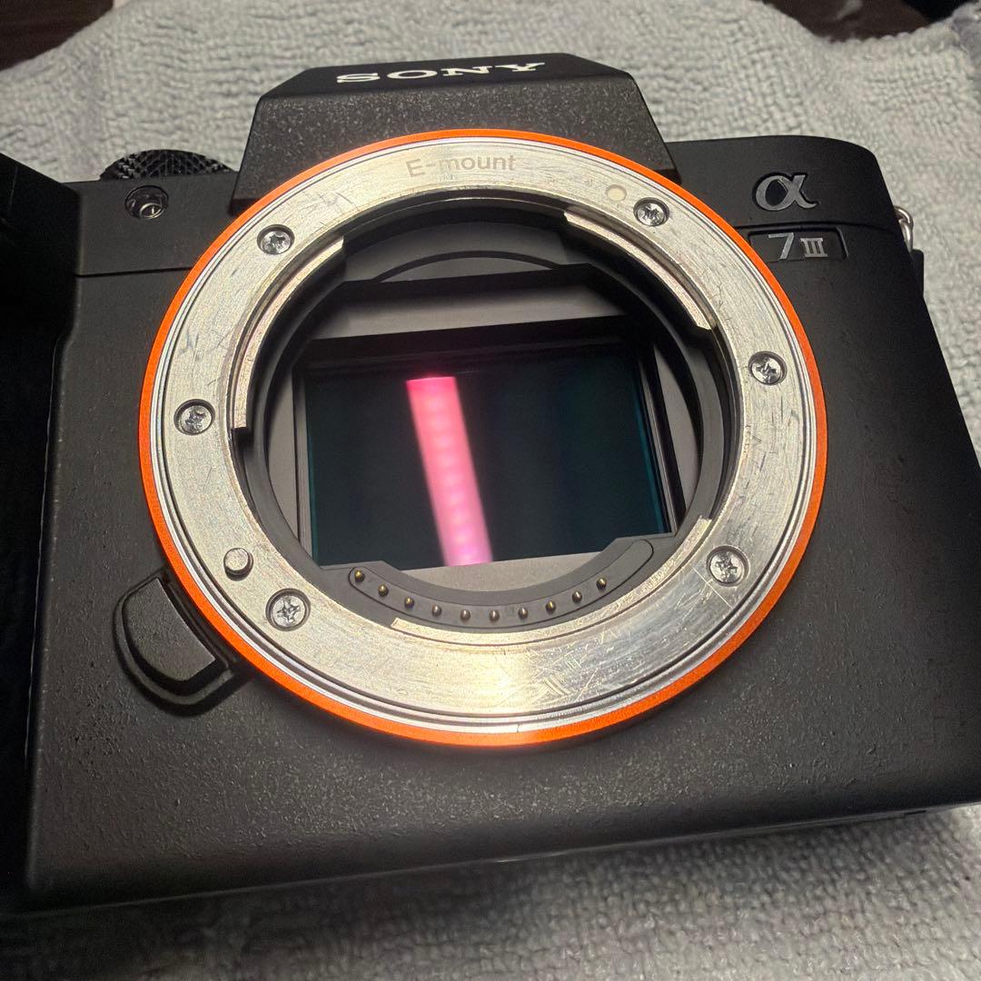 《⭐︎明日までお値下げ中⭐︎》SONY α7 III ミラーレスカメラ 本体　ボディ