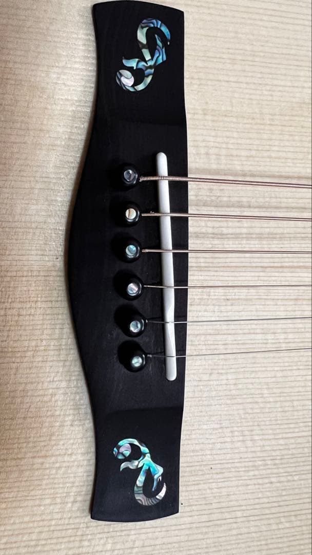 ボーナス月間値下げAyers Guitar 超美品 SJ07P-C RF 3.0