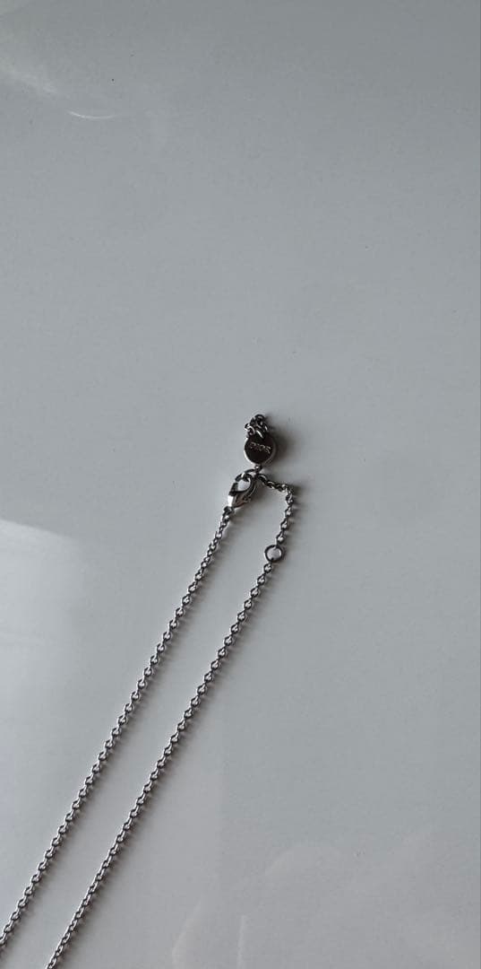 DIORシルバー ネックレス