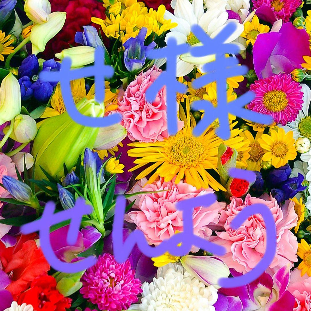 せ出品 ステハイ　20個