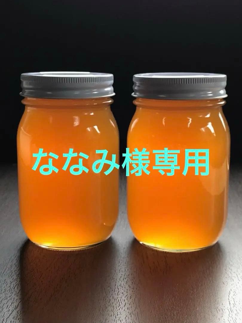 日本ミツバチ純粋100%蜂蜜 600g×4本