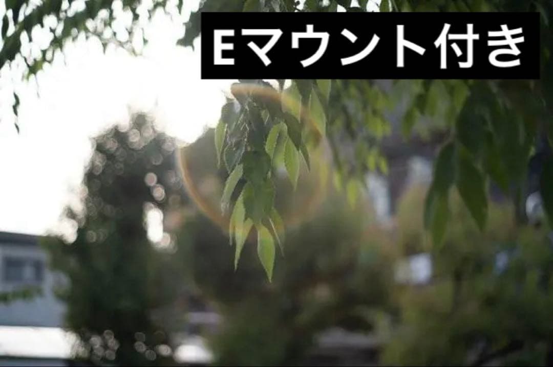 【玉ボケが綺麗なオールドレンズ】smc takumar 55mm f1.8