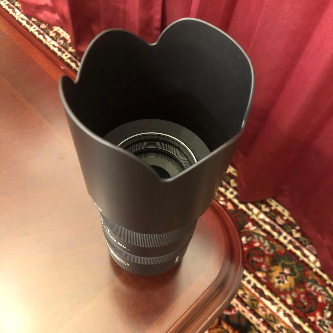 Sony 70-300mm G SSM レンズ