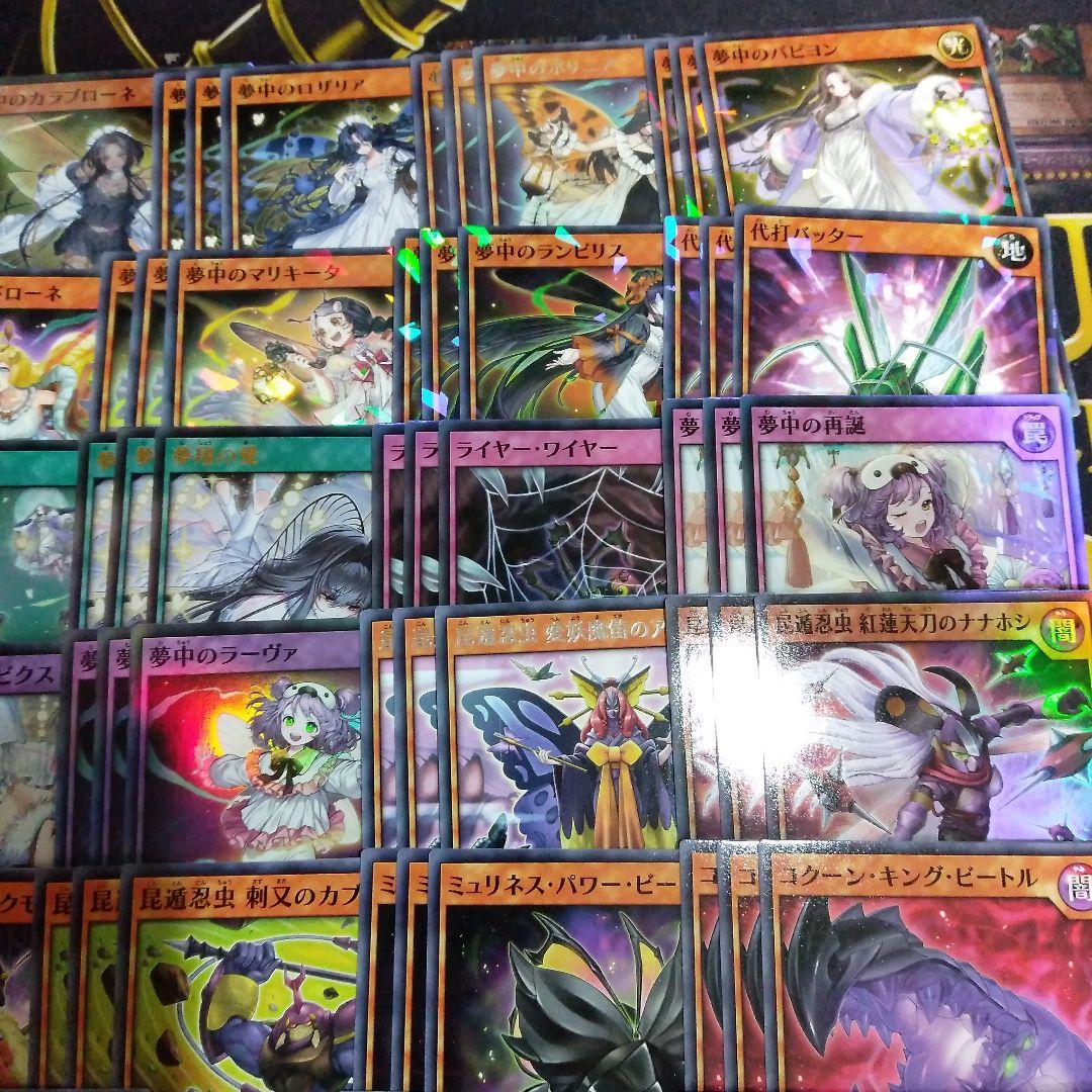 夢中・昆虫族 デッキ 初めての 遊戯王 ラッシュデュエル