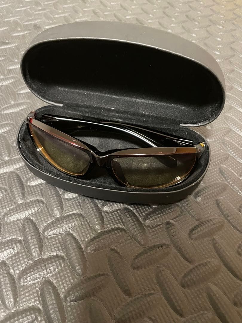 fishman sign 偏光レンズ