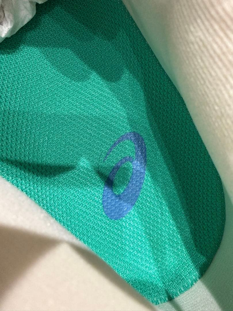 うっちーアンプレアルス low×ポーラホリック29.5cm