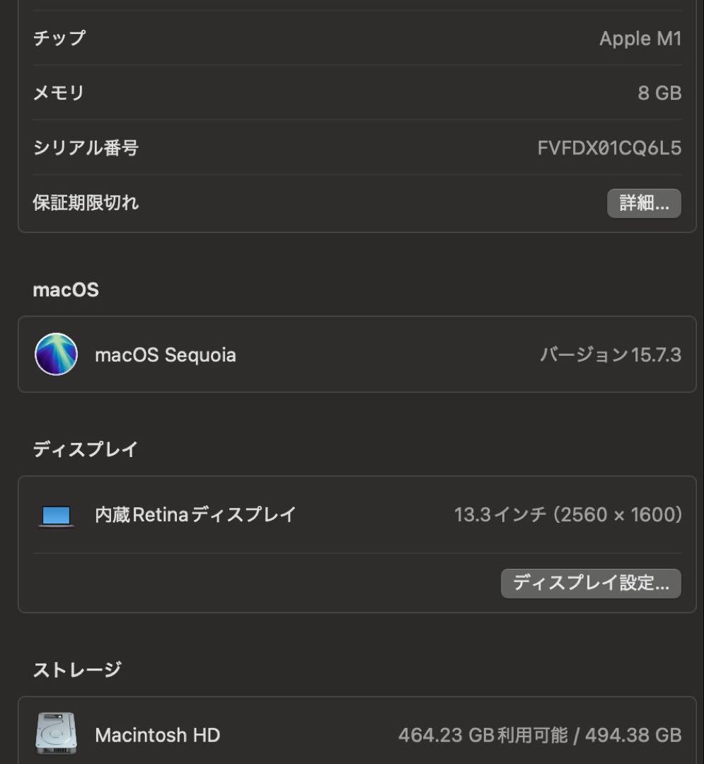 Apple MacBook Air M1 2020 箱なし　収納バック付き