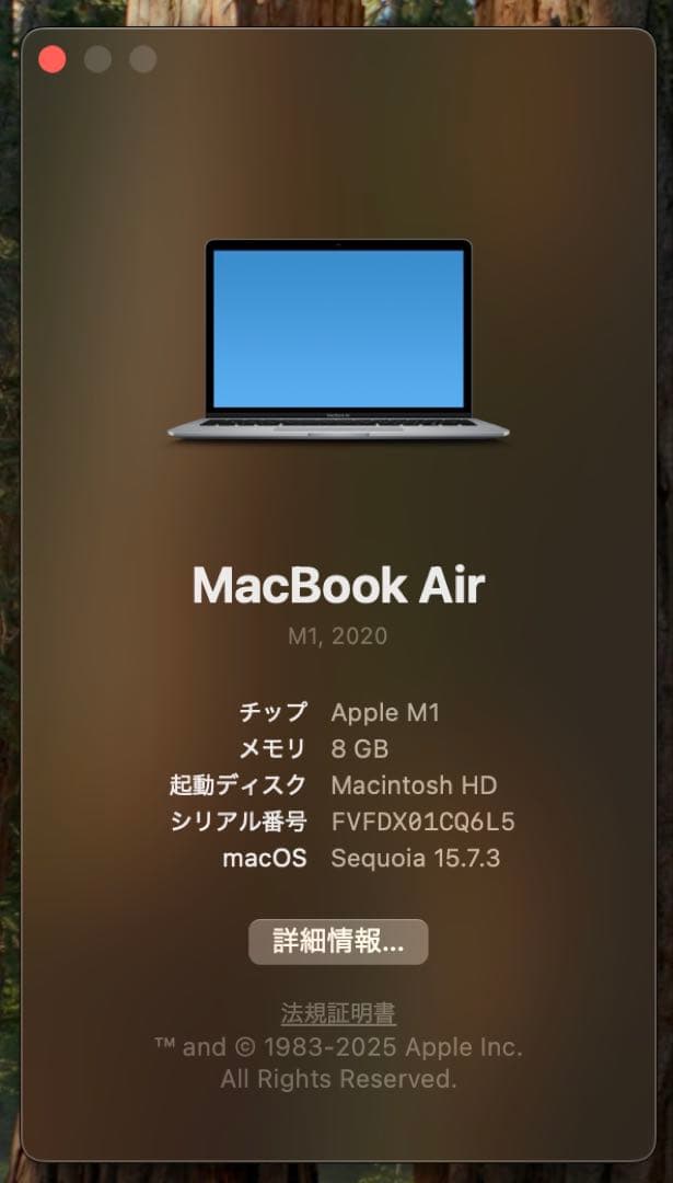 Apple MacBook Air M1 2020 箱なし　収納バック付き