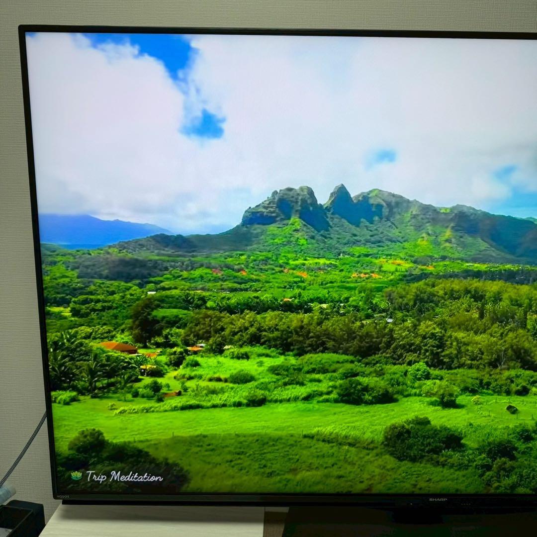 AQUOS 4T-C60DN1 液晶テレビ 60インチ　REGZAパナソニック