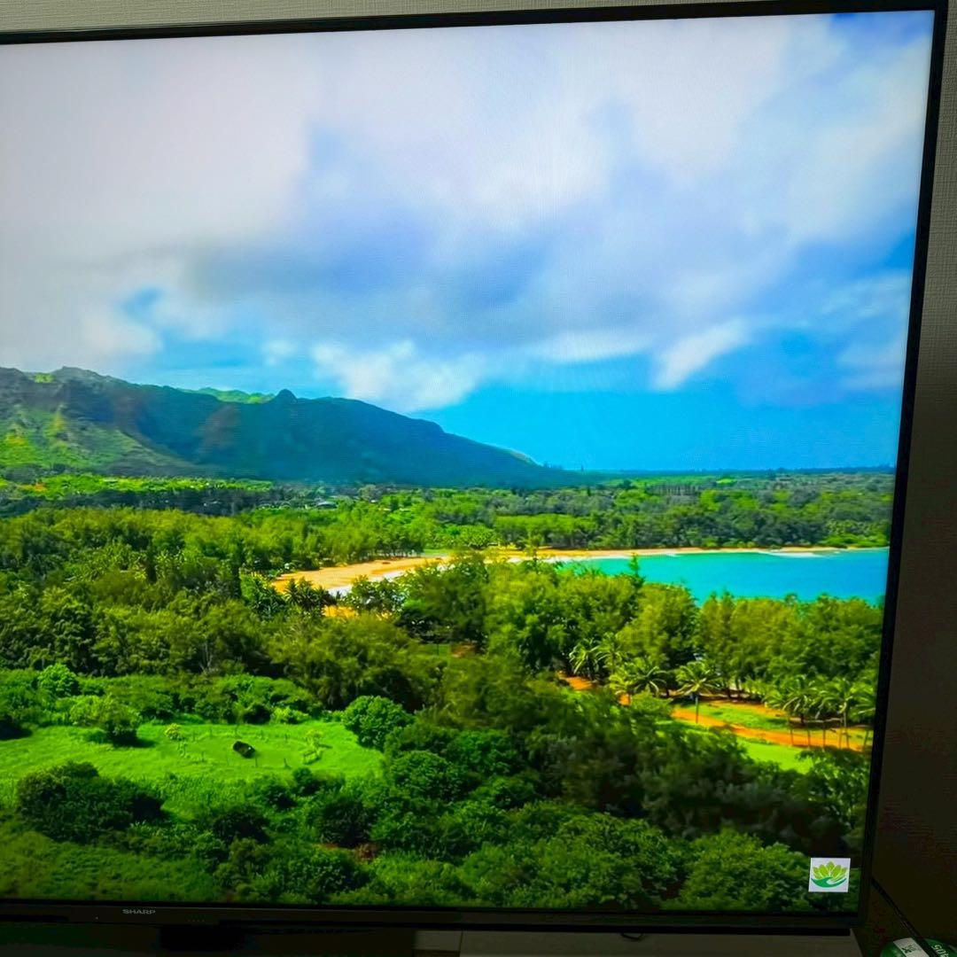 AQUOS 4T-C60DN1 液晶テレビ 60インチ　REGZAパナソニック