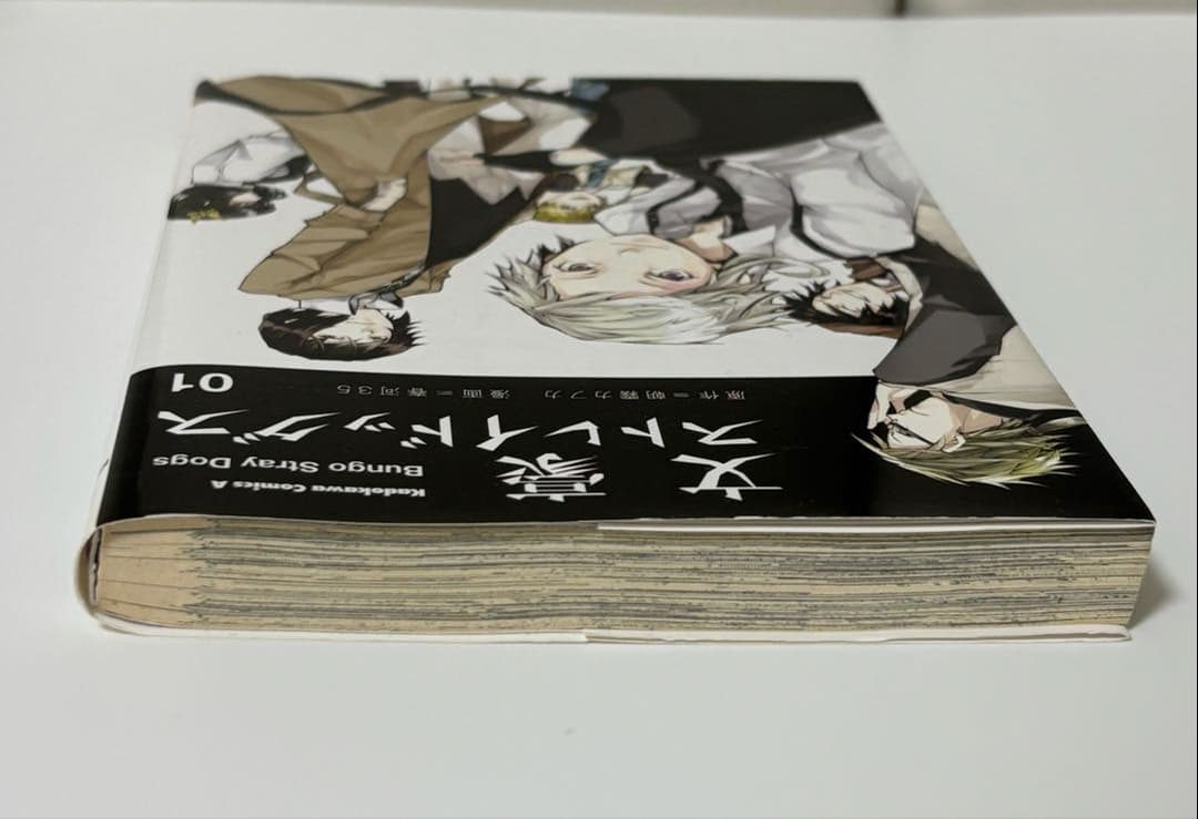 文豪ストレイドッグス　1巻　初版　サイン本