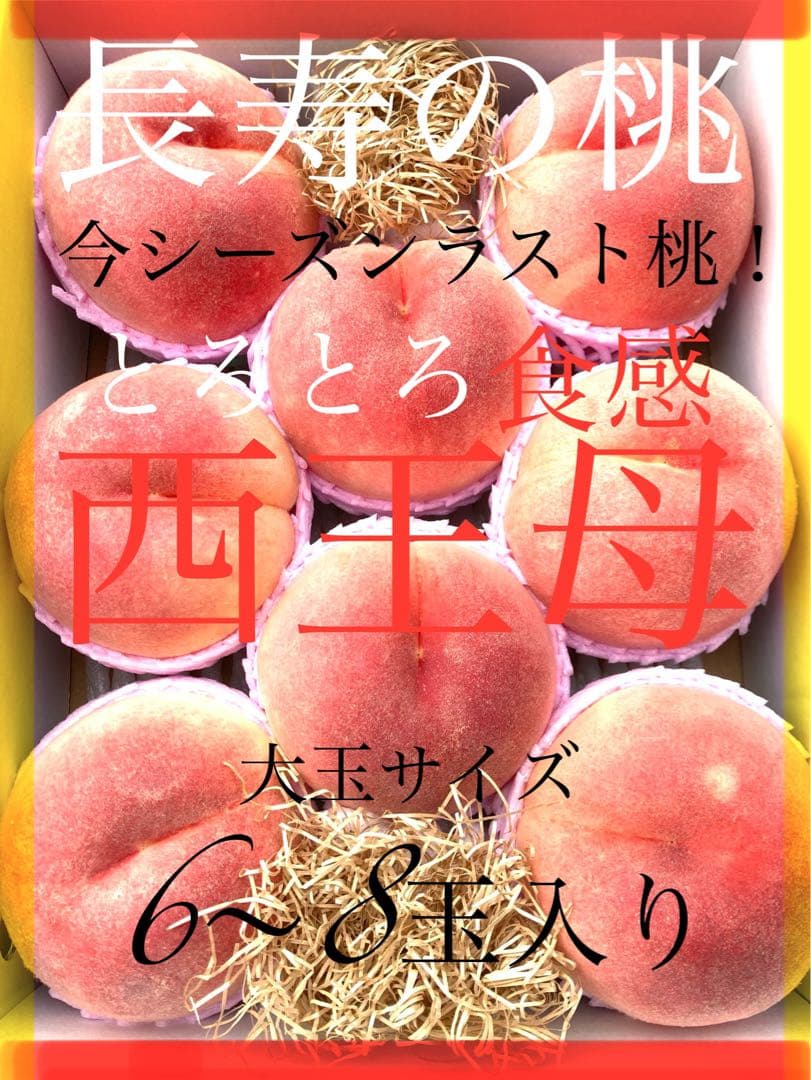 Shiki クール便2箱