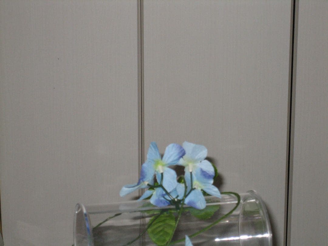 Canon カメラ　IXY 60 PC1158 充電器 コンデジ　動作品