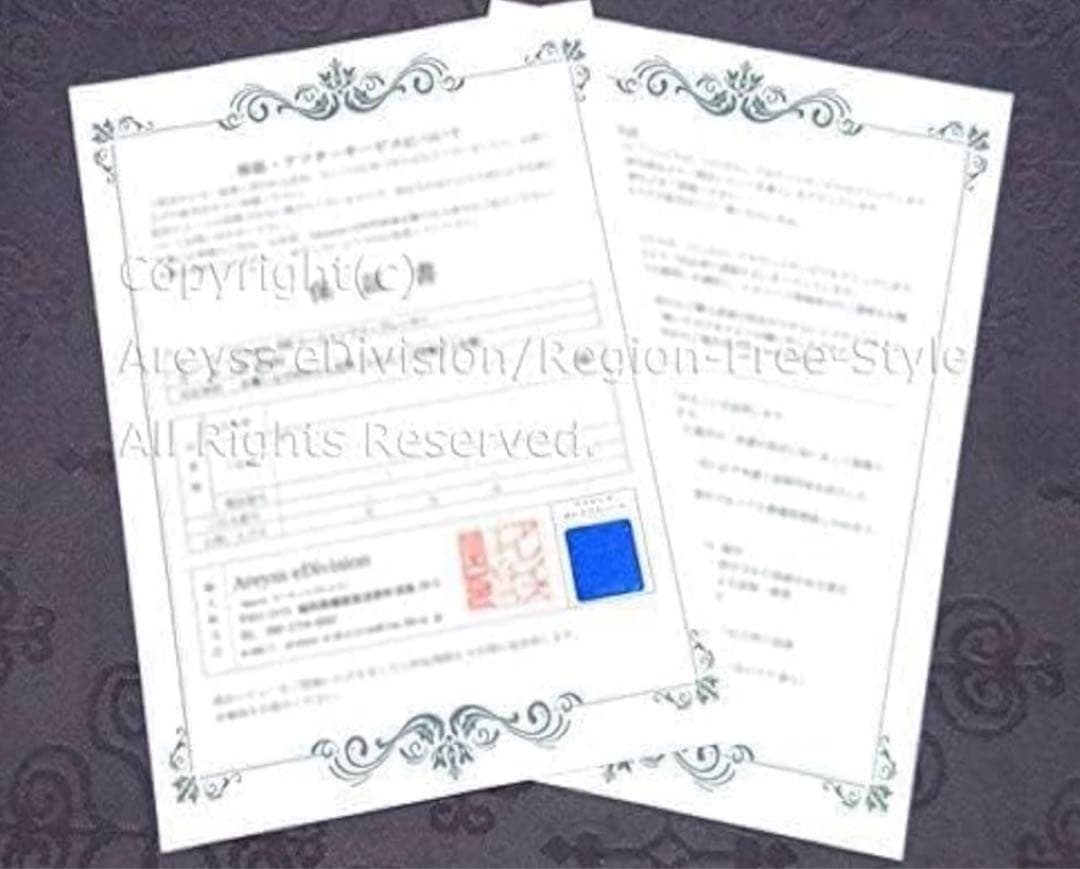 Panasonic DVD-S500R/F リージョンフリーDVDプレーヤー