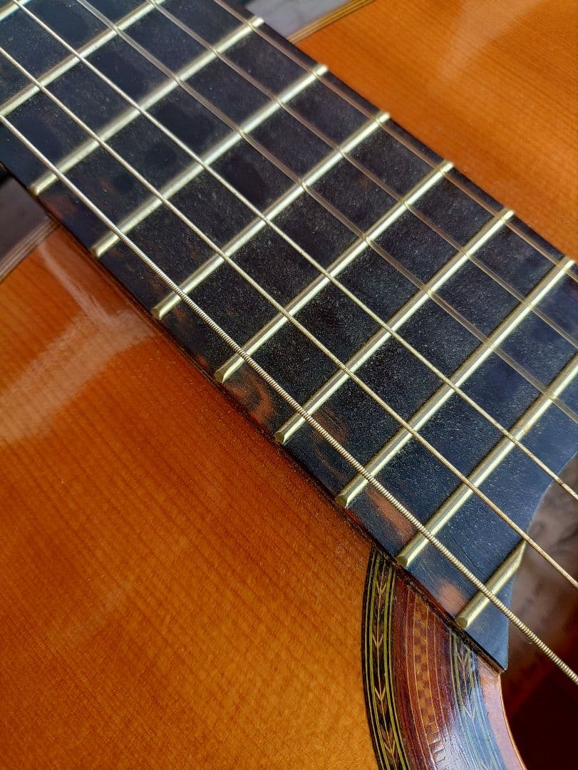 アコースティック ギター アリア A-100F フラメンコギター