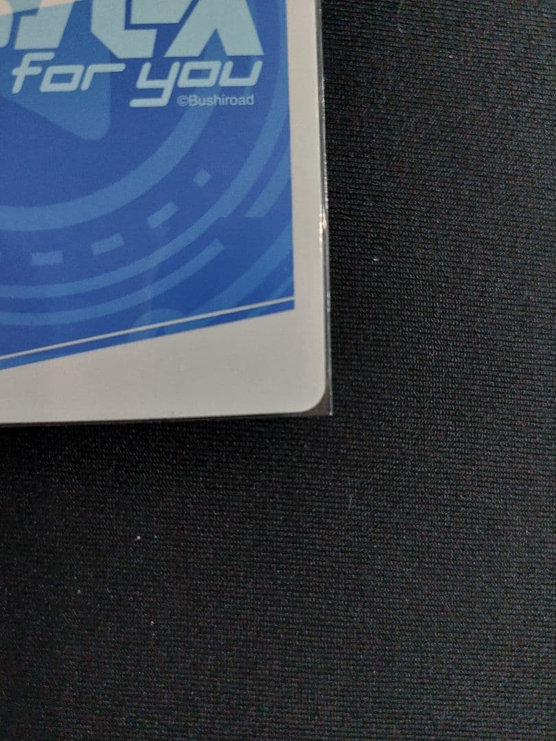 Reバースfor you　ブルーアーカイブ　アルPP