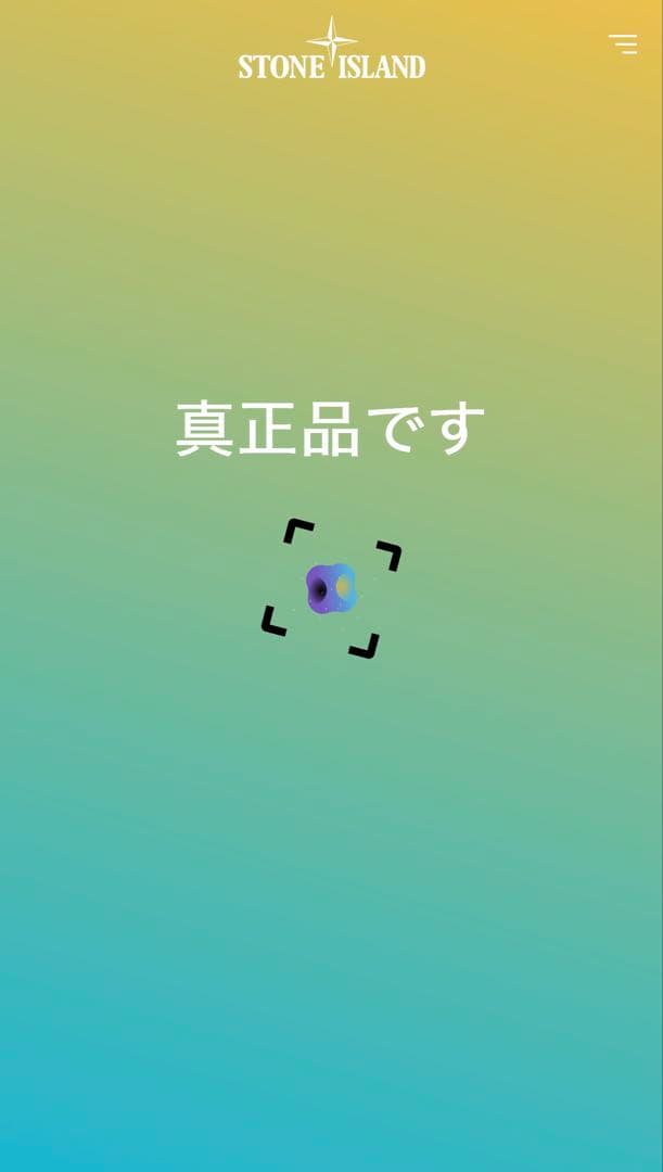 STONE  (ストーンアイランド) カーゴショーツ W30パープル