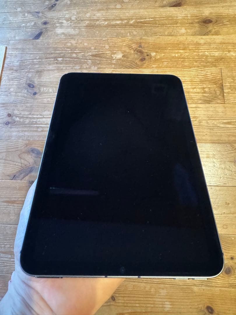 iPad mini 6 256GB セルラー