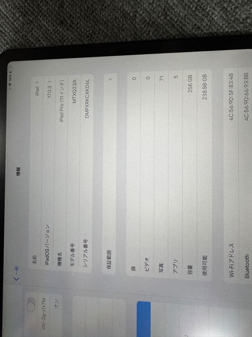 Apple iPad Pro256GB 土日限定価格