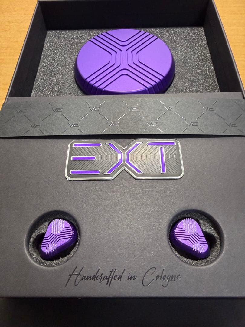 イヤホン Vision Ears EXT