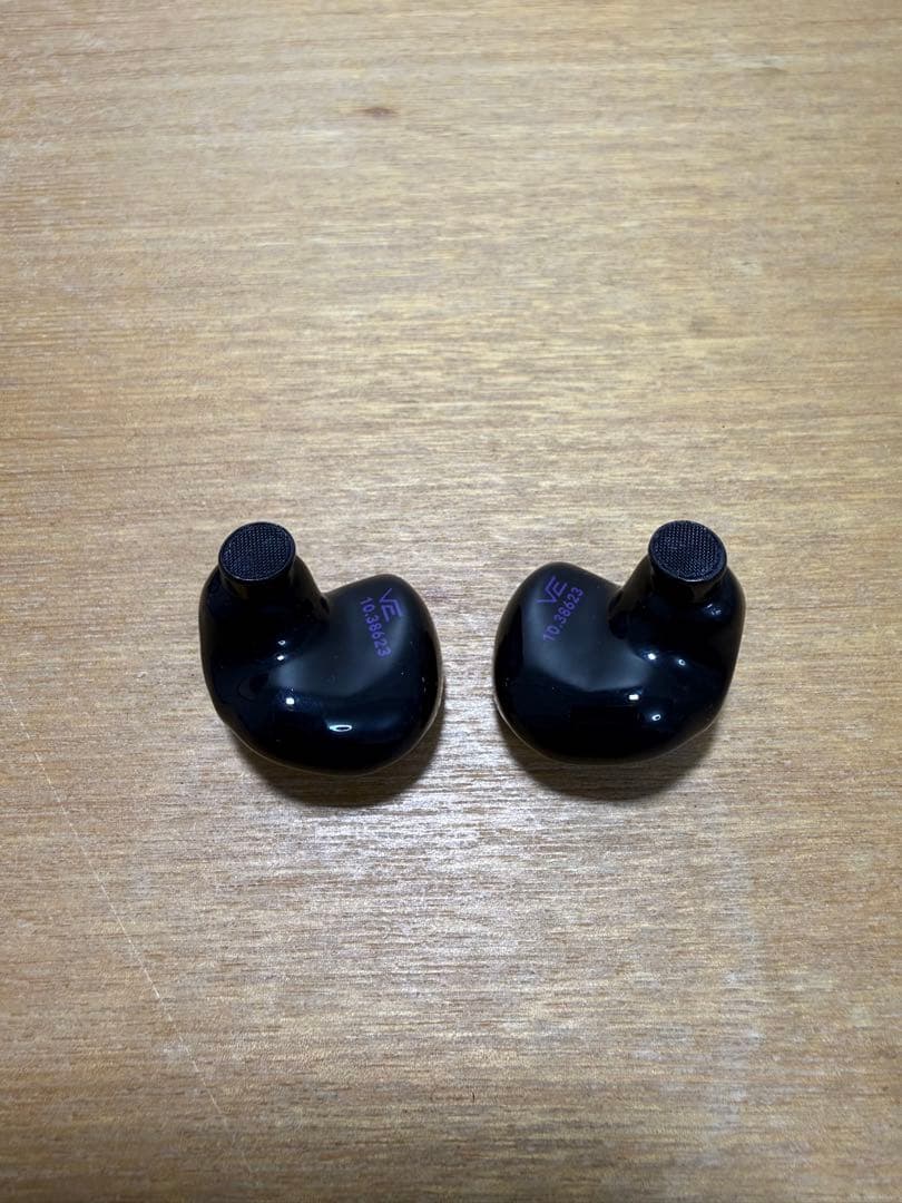 イヤホン Vision Ears EXT
