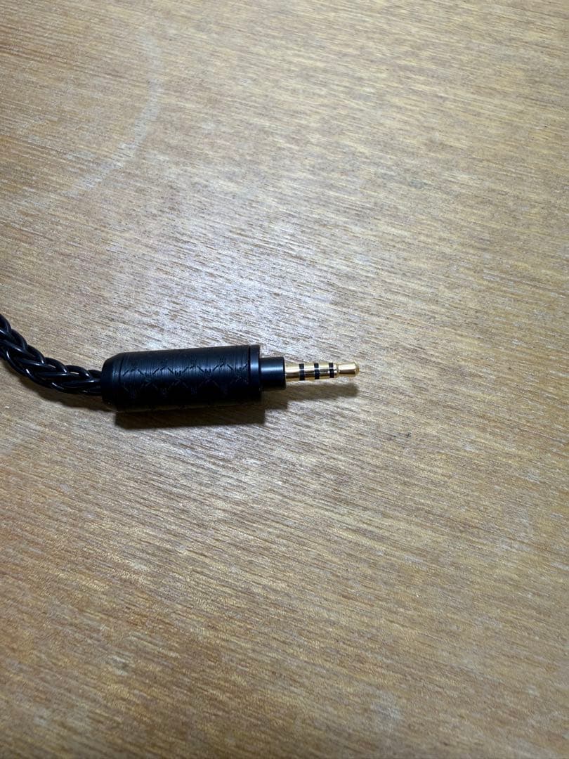 イヤホン Vision Ears EXT