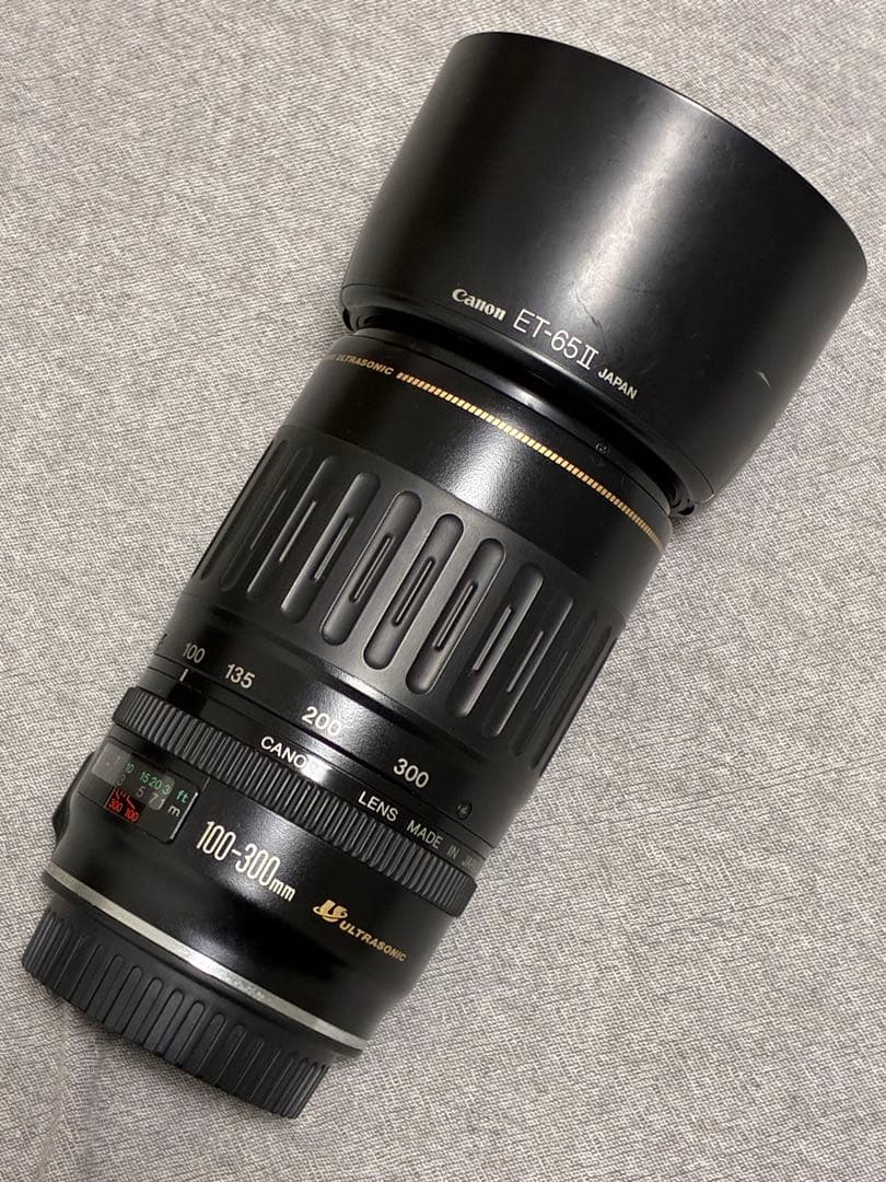 ⭐️美品⭐️キャノンCanon EF 100-300mm 4.5-5.6 USM