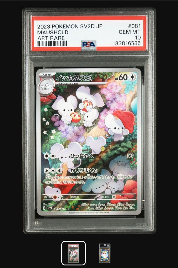 まとめ買50円引きイッカネズミ AR PSA10