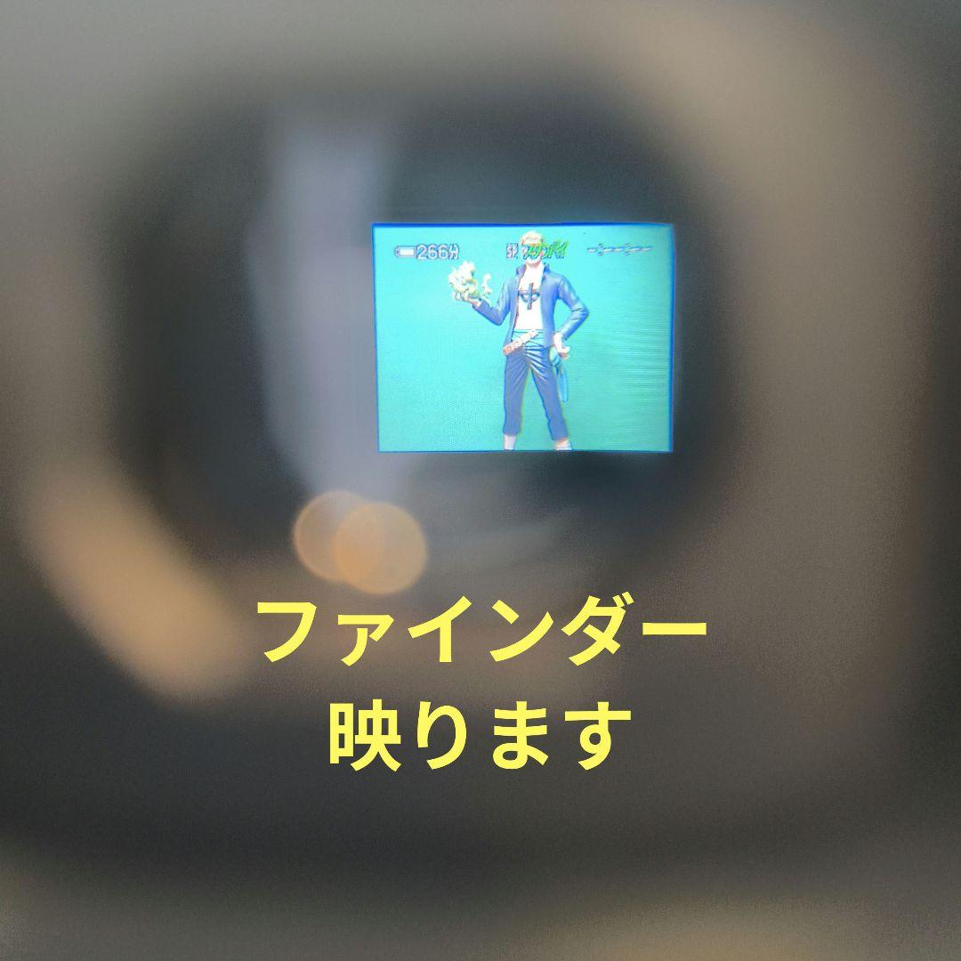 【動作確認済】SONY ソニー DCR-PC110 Mini DV ビデオカメラ