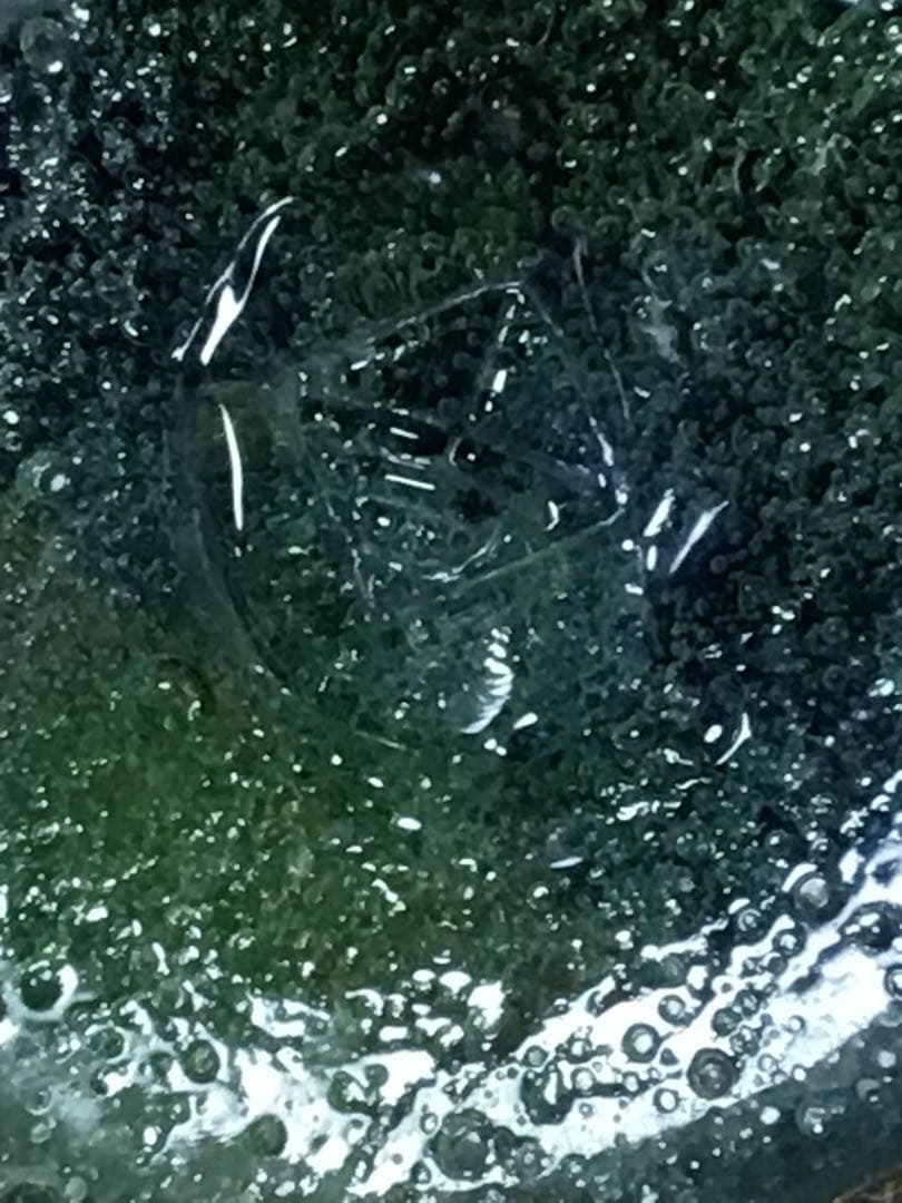 琉球ガラス　稲嶺盛吉　花瓶　作家印あり