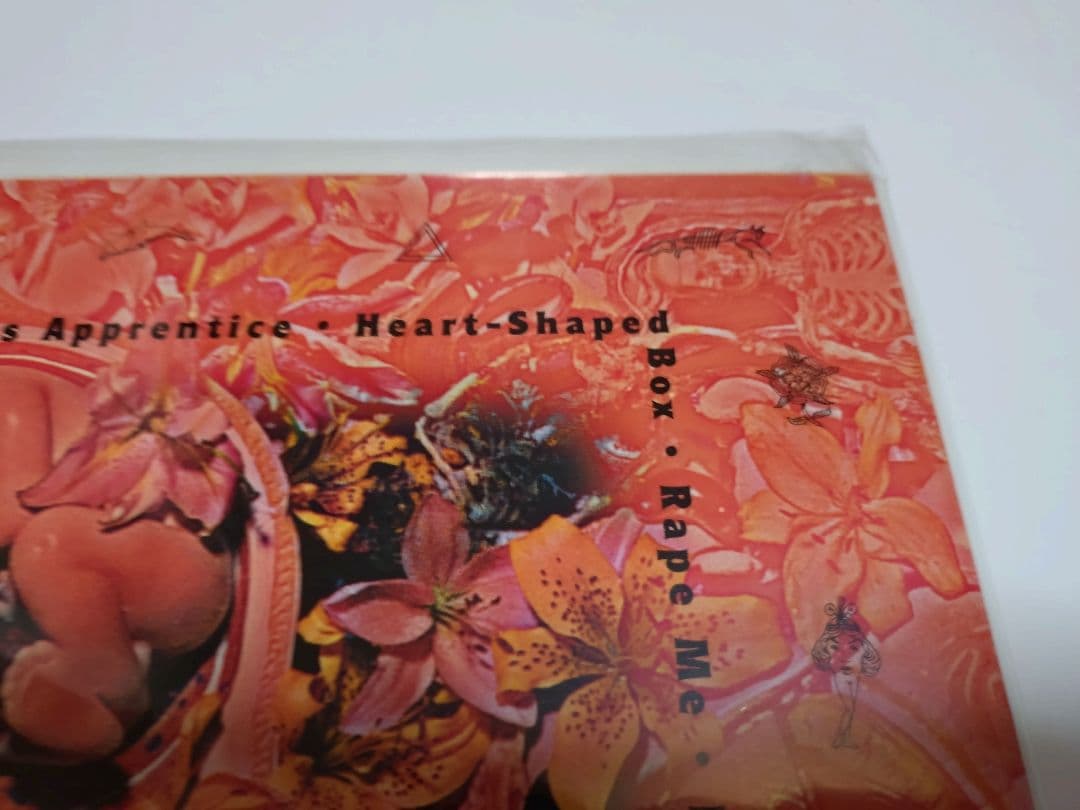 NIRVANA ニルヴァーナ IN UTERO レコード 1993年