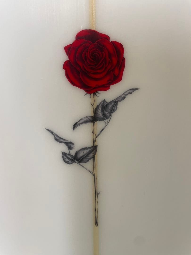 サーフィン・ボディボード Petal to the l surfboard