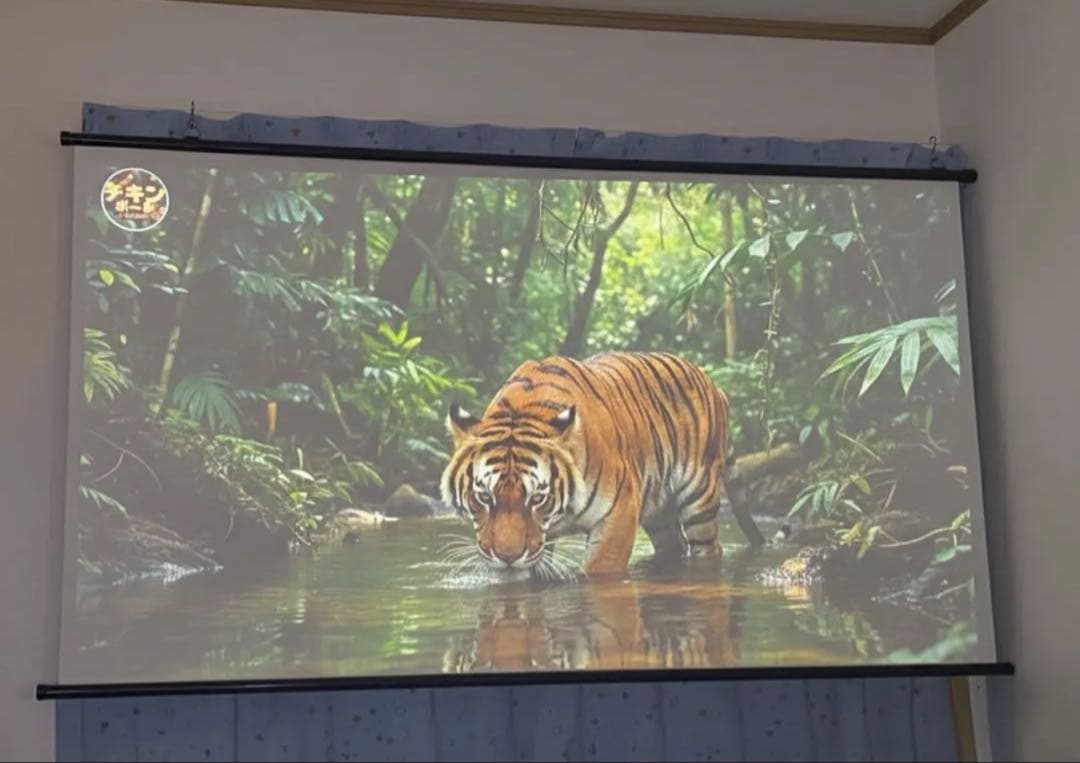 80インチ　プロジェクター用スクリーン￼ 4k対応￼